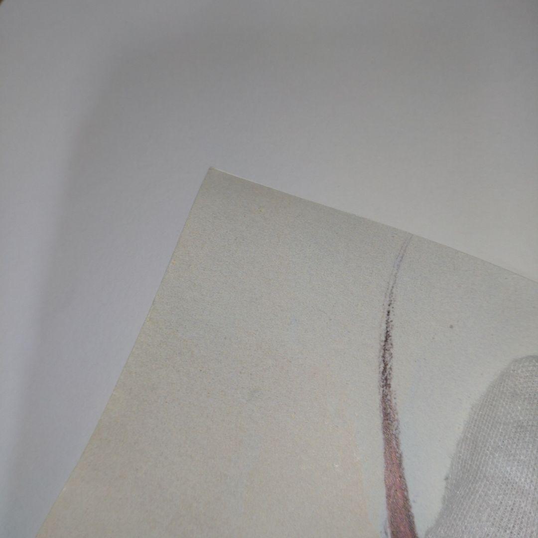 【3月末まで値下げ】覇王大系リューナイト　サイン入りポスター　ラジオドラマ