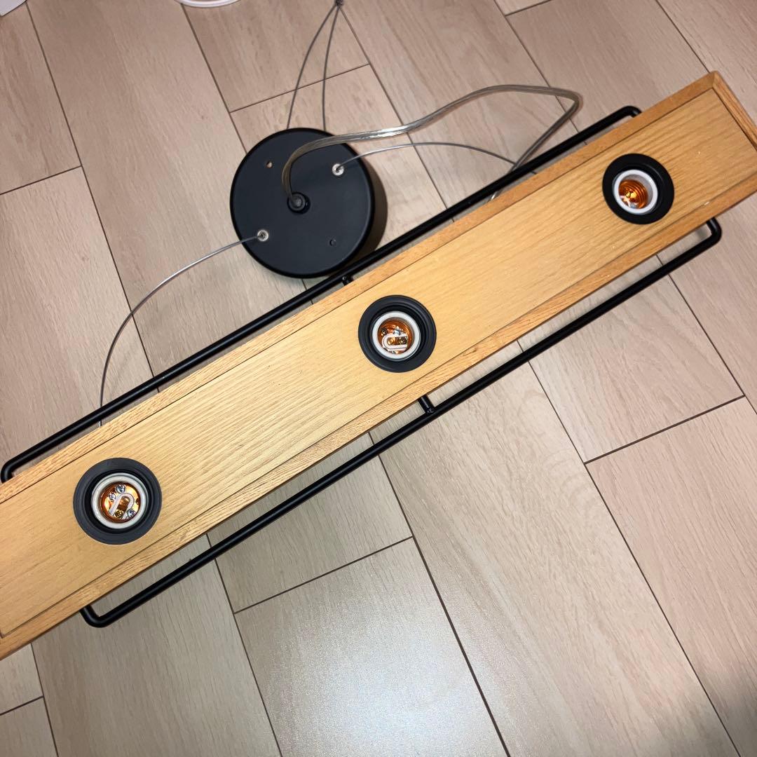 【定価30000】ペンダントライト APE-700NA スワン　BOTANIC