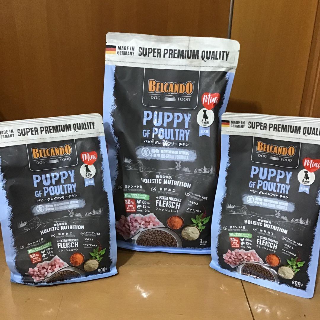 ベルカンド　パピーグレインフリー チキン　3kg +800g2袋　ドッグフード