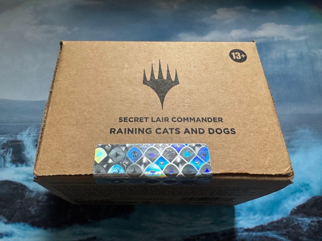 MTG Raining Cats and Dogs 未開封　1箱　SLC