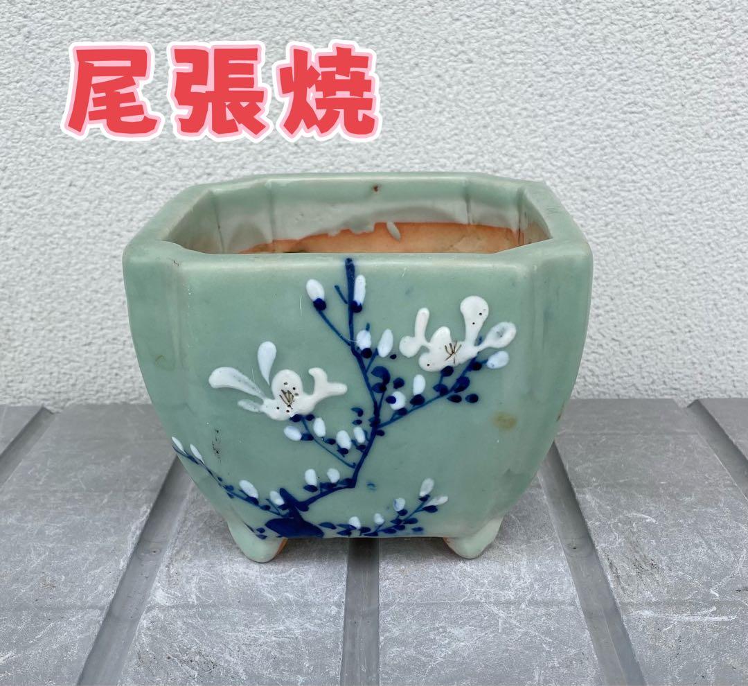 尾張焼 瀬戸焼 青磁 梅柄 角形 盆栽鉢 盆栽 植木鉢