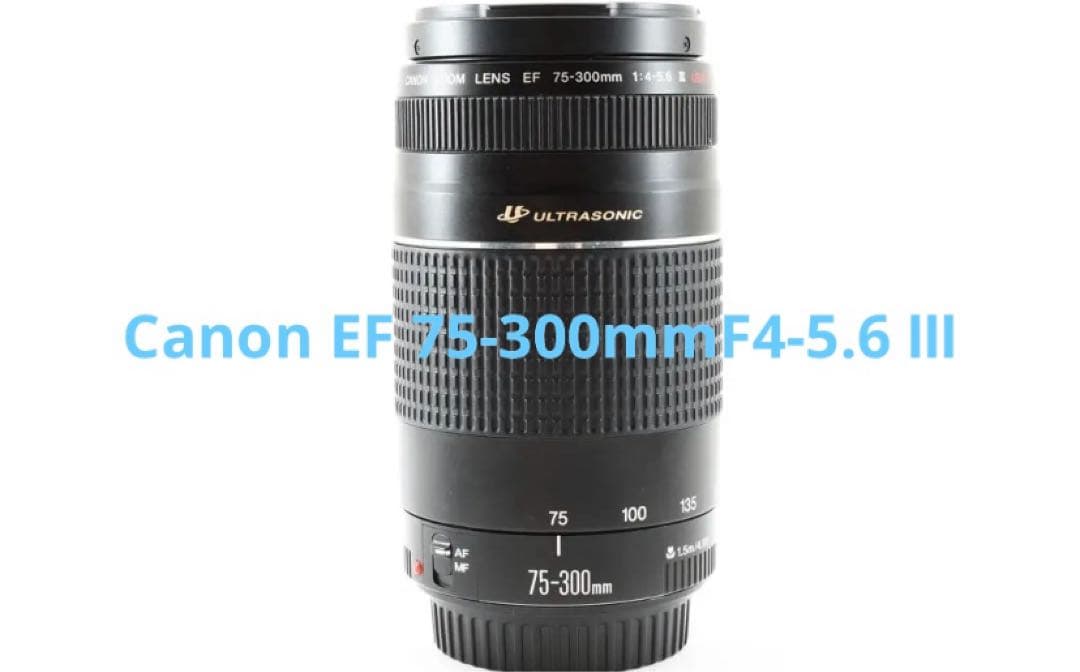 デジタル一眼レフカメラ　Canon EF 75-300mm F4-5.6 Ⅲ