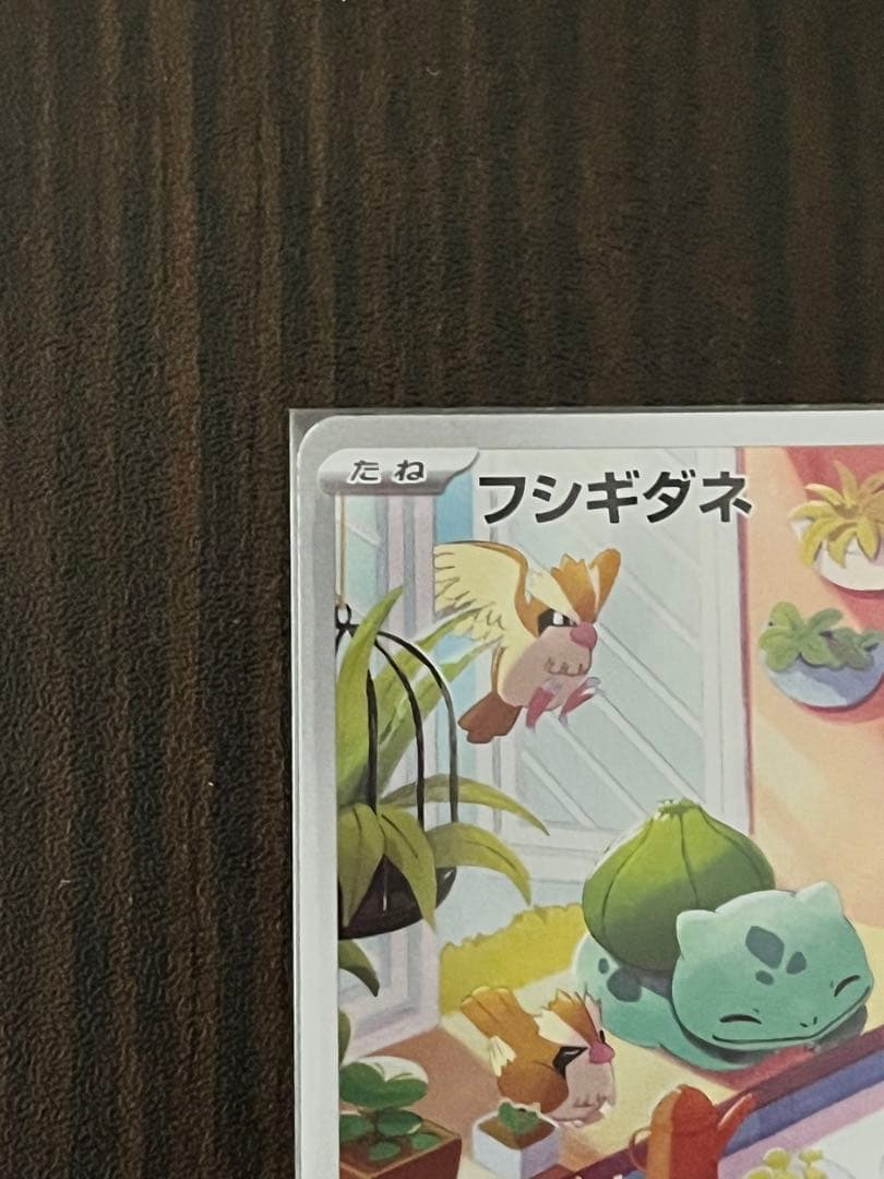 ゼニガメ　ヒトカゲ　フシギダネ　ar セット