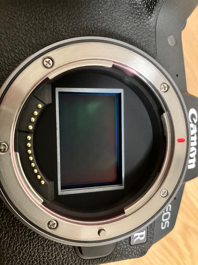 【美品】Canon EOS RP ボディ【おまけ付】