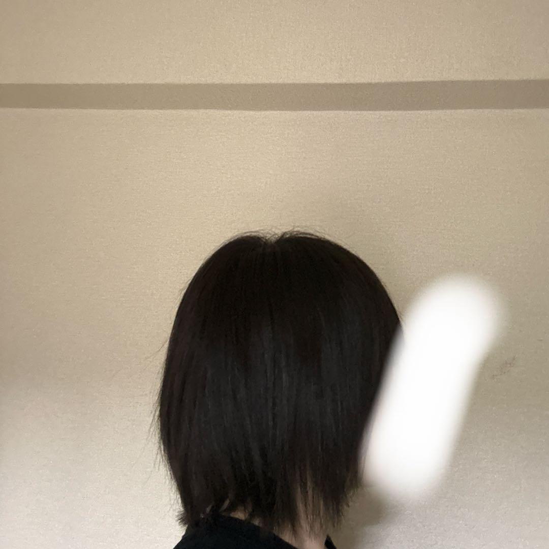 ワンステップ ウィッグ 人毛100% Sサイズ