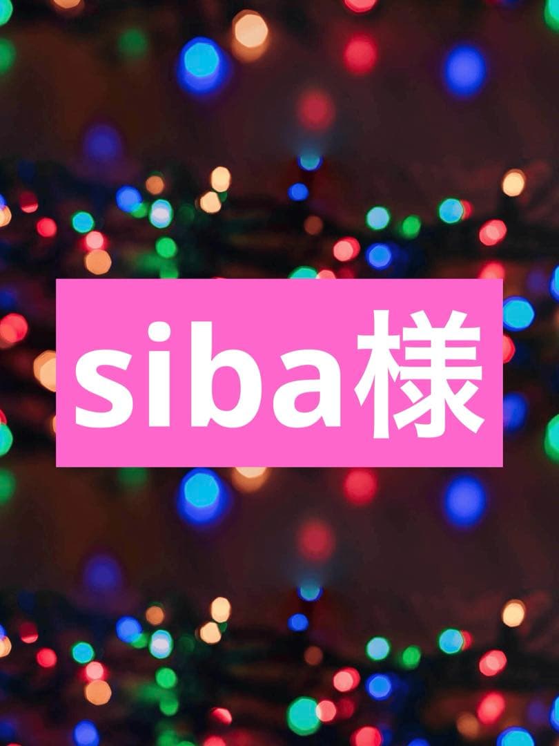 その他 siba