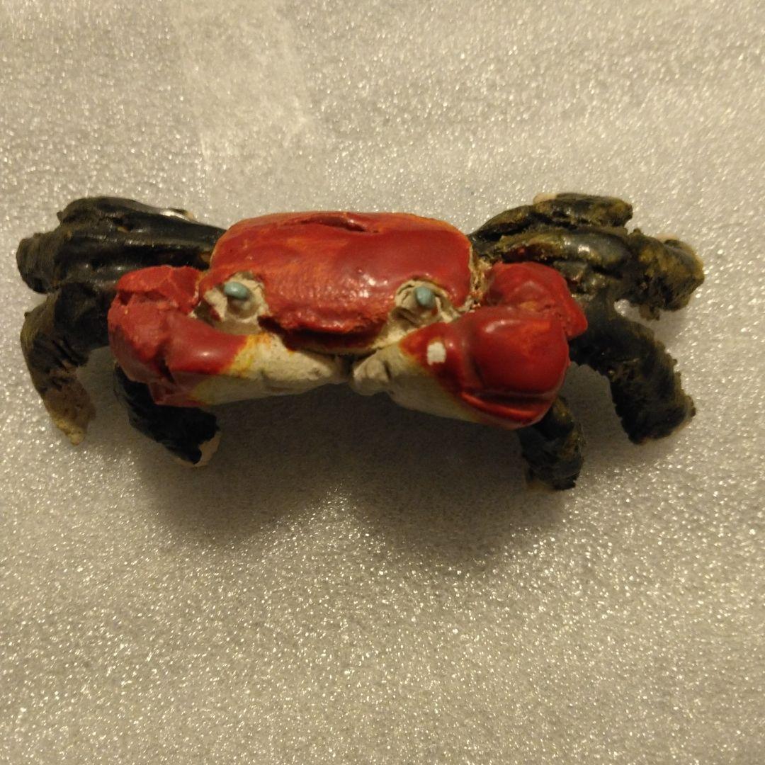 古い蟹　水月焼　楽山　二六