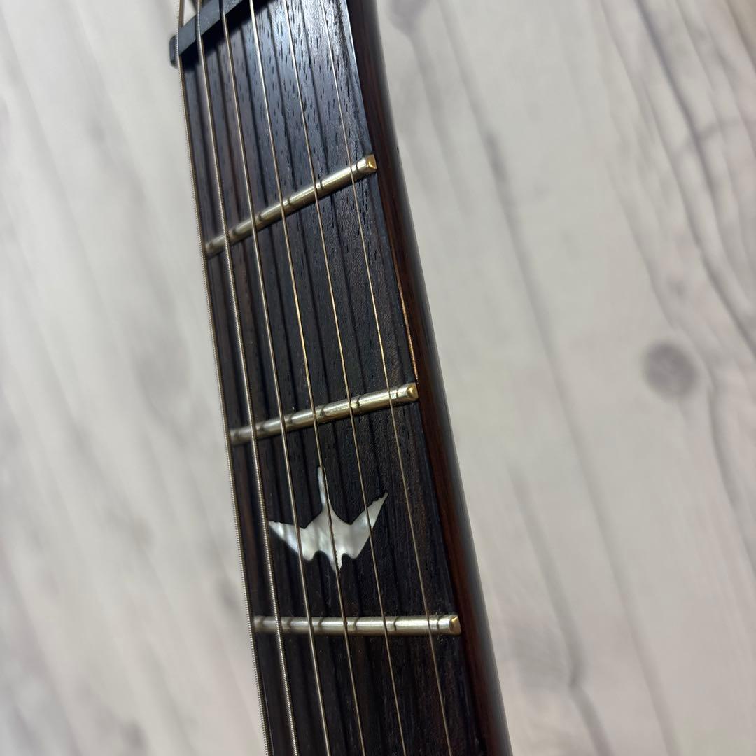 ギター Paul Reed Smith SE CUSTOM24 PRS