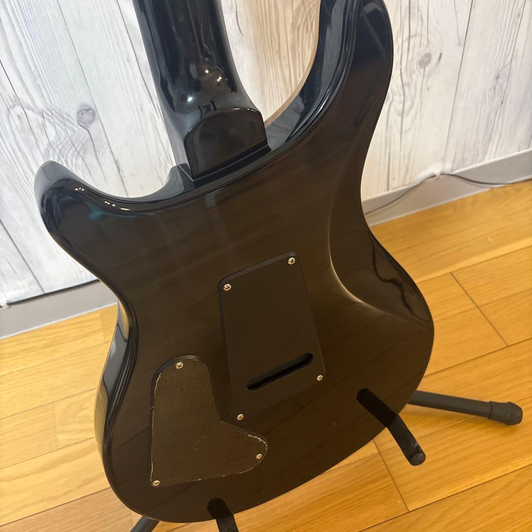 ギター Paul Reed Smith SE CUSTOM24 PRS