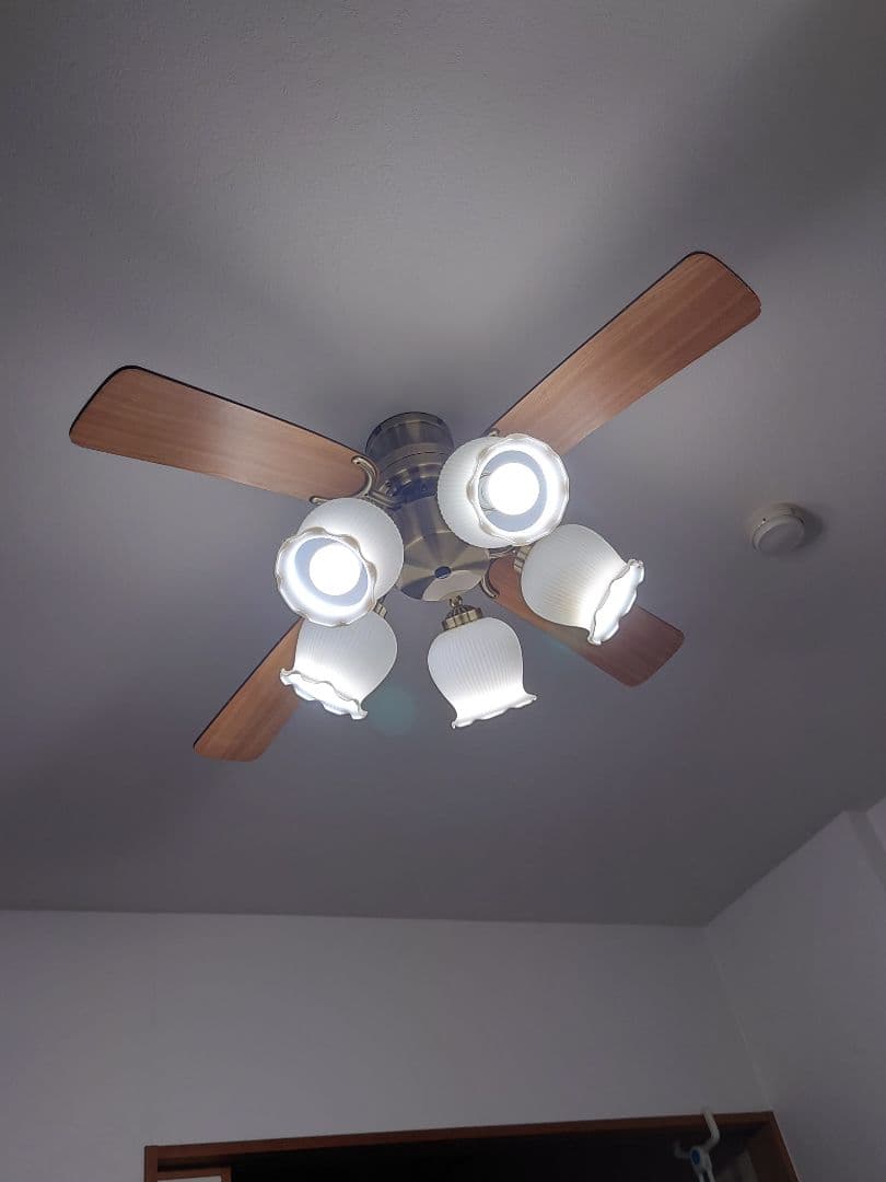 シーリングファン 木製羽根 5灯　コイズミ　LED付き