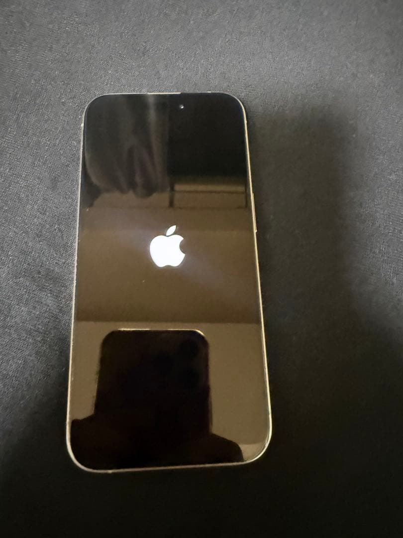 Apple iPhone 15 Pro シルバー 本体