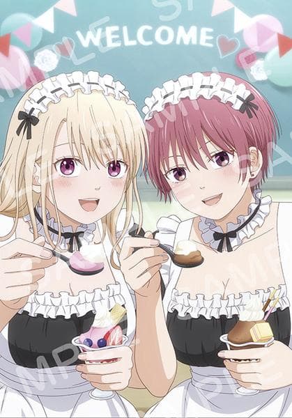 黒岩メダカに私の可愛いが通じない ソフマップ BD全巻購入特典B2タペストリー