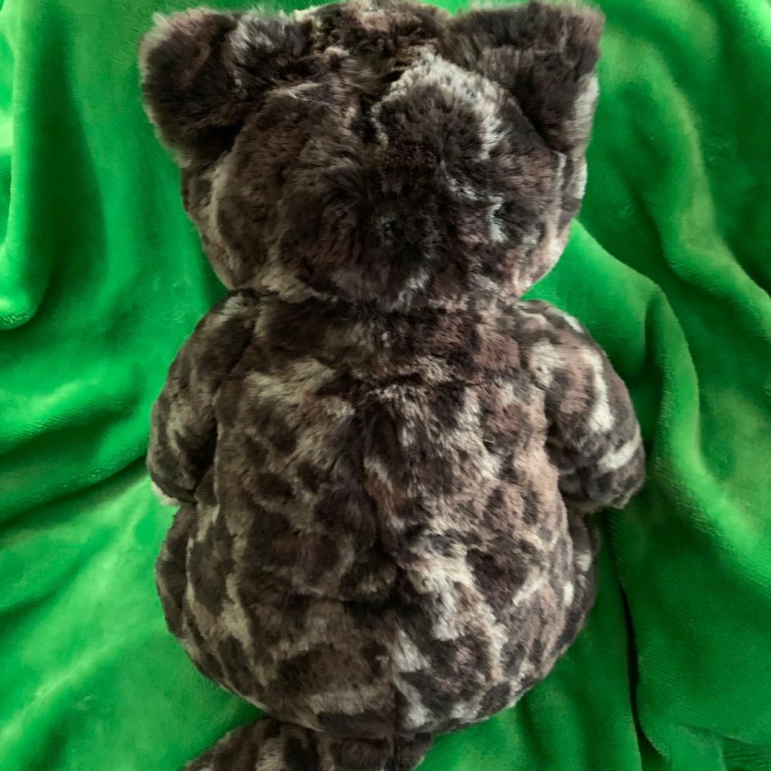 ひざねこ　お座り　ヒョウ