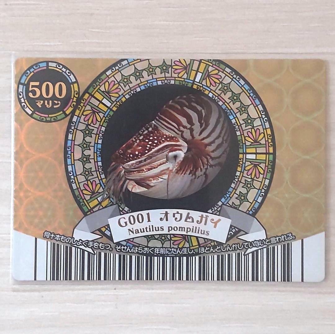 ☆マリンマリン☆カード【G001オウムガイ】