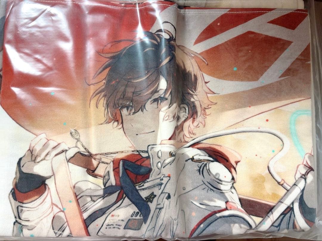 天月 武道館 僕の名前を呼んで BIGタオル