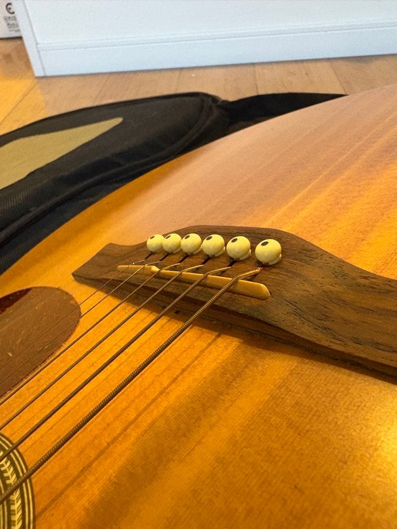 エレアコ　ギター seagull Amber Trail シーガル