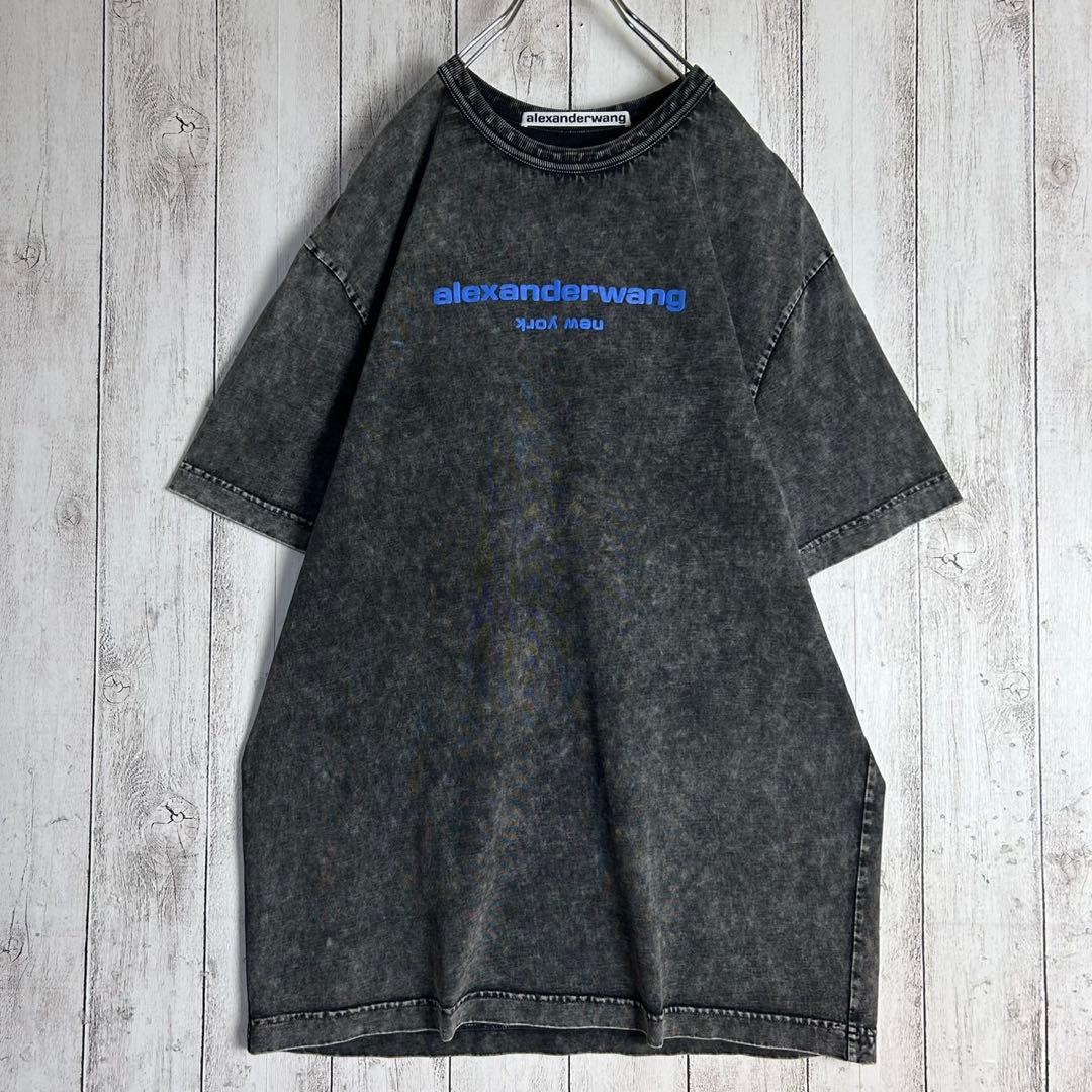 284【人気デザイン】アレキサンダーワン☆プリントロゴTシャツ ウォッシュド