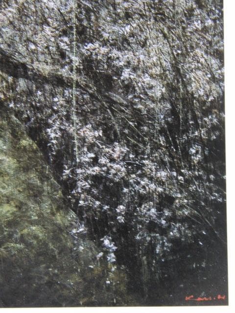 堀研、【神原枝垂れ桜】、希少な額装用画集より、新品額装付