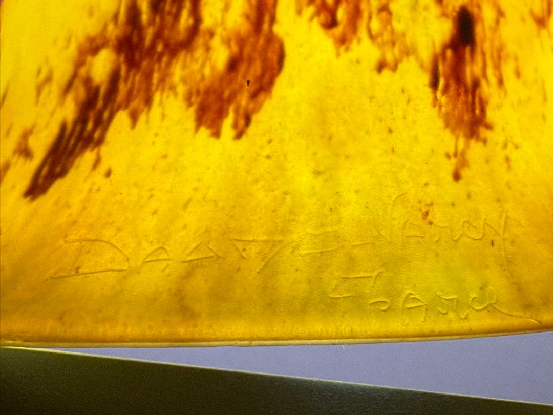 Dome Nancyチューリップタイプのガラスシェード電気スタンド