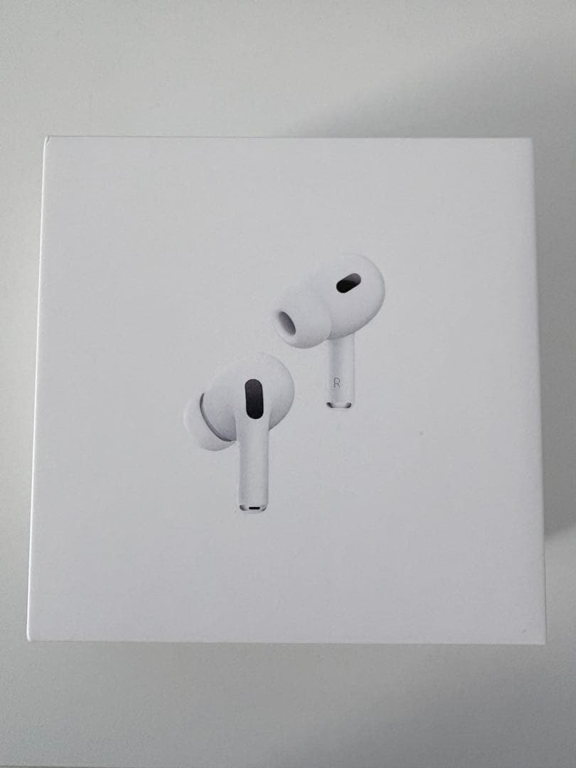 Apple AirPods Pro2 Lightning端子