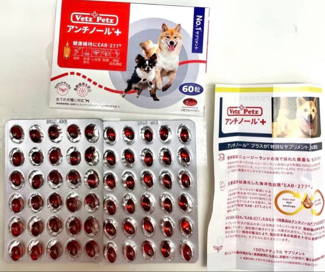 アンチノールプラス6粒×2