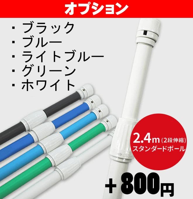 【特急】成人式のぼり旗