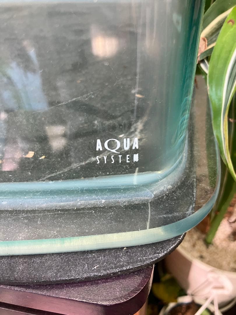 かずさん専用 AQUA SYSTEM ルノアール900