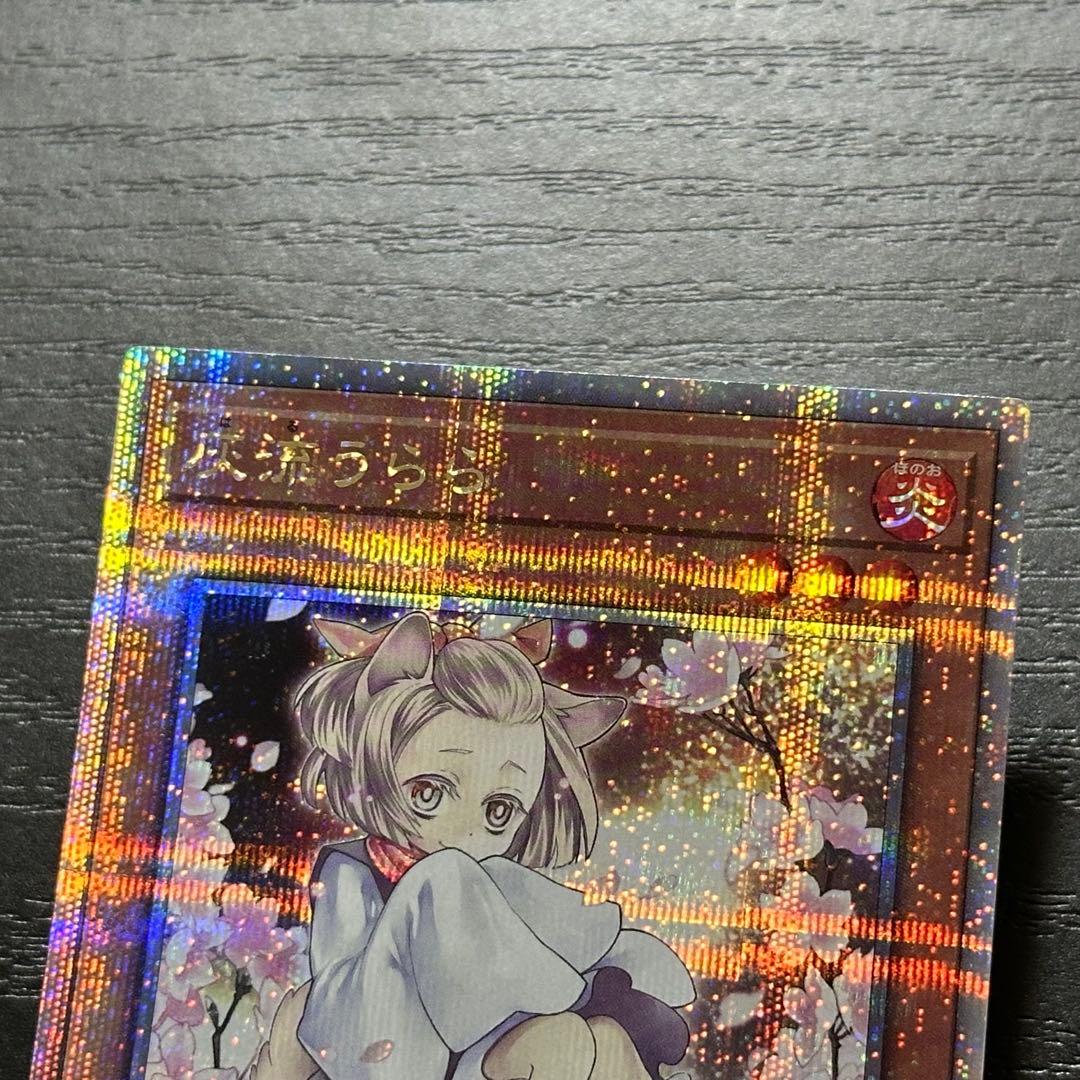 遊戯王 灰流うらら 25th 絵違い