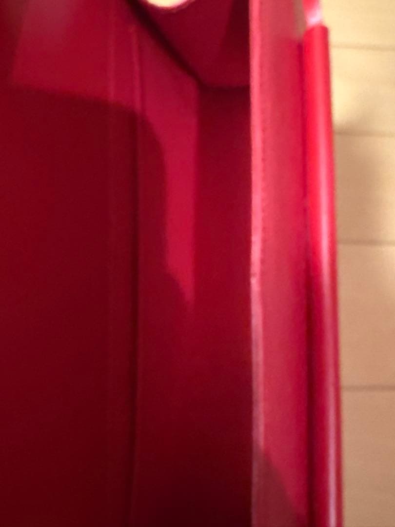 Louis Vuitton エピレザー レッド