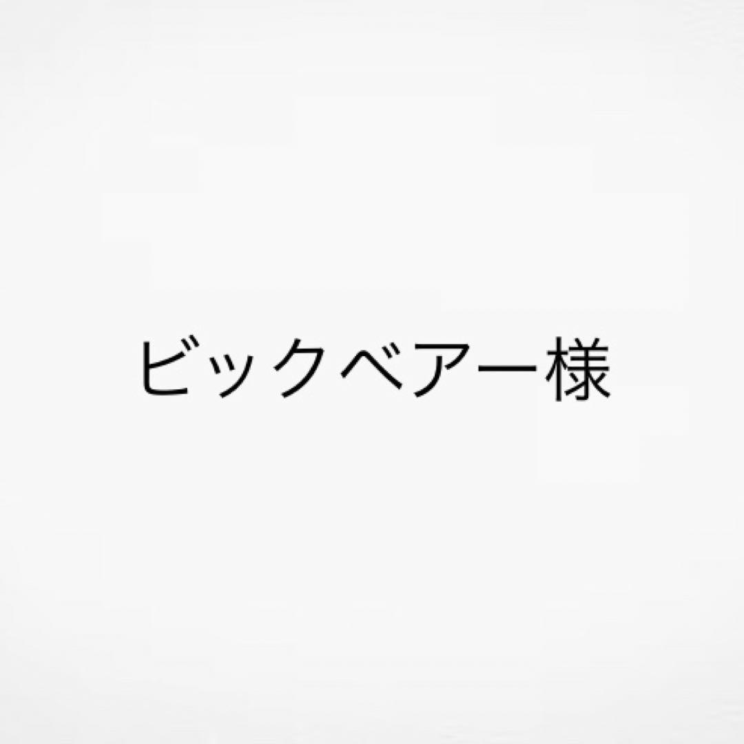 ビックベアー様