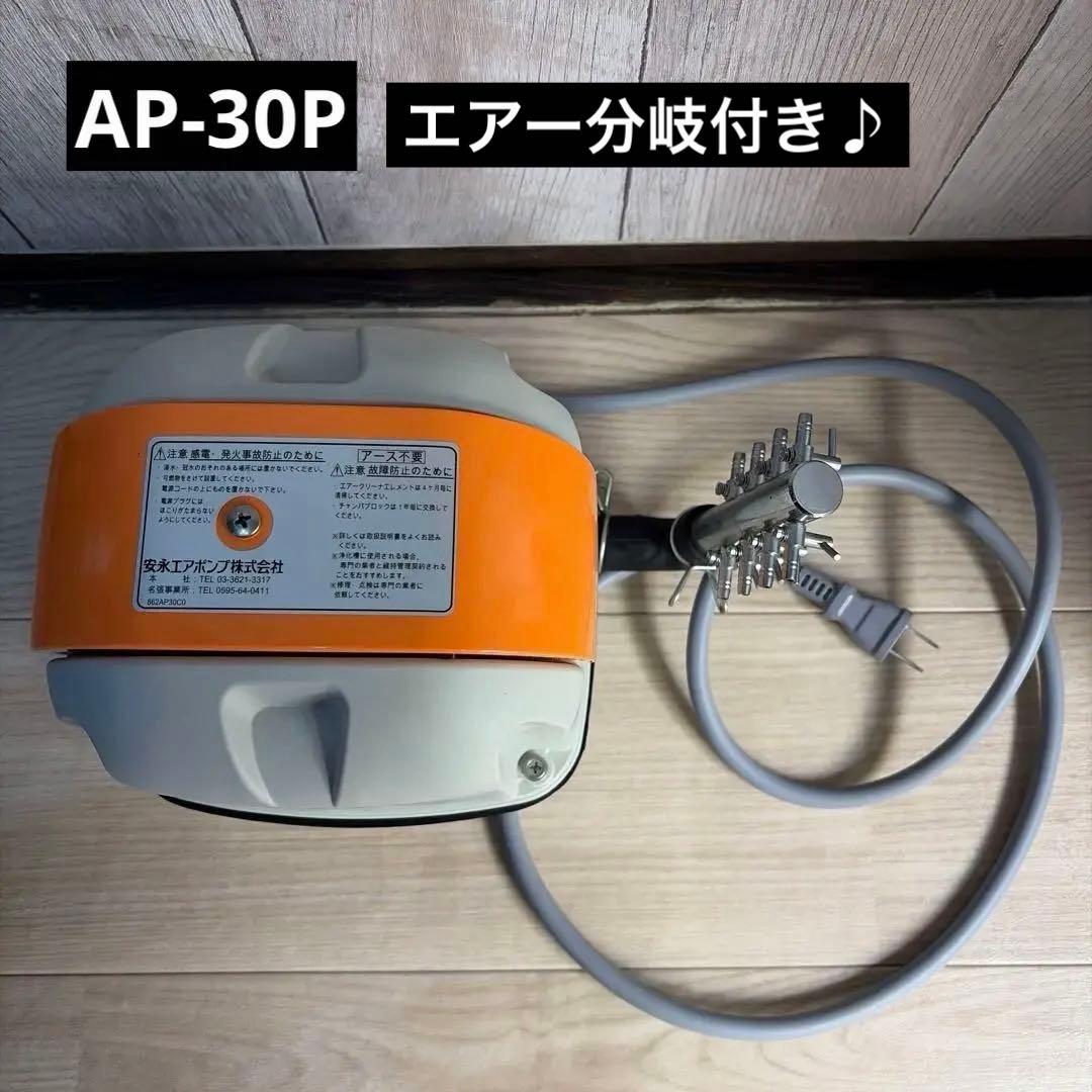 安永エアポンプ AP-30P【美品】