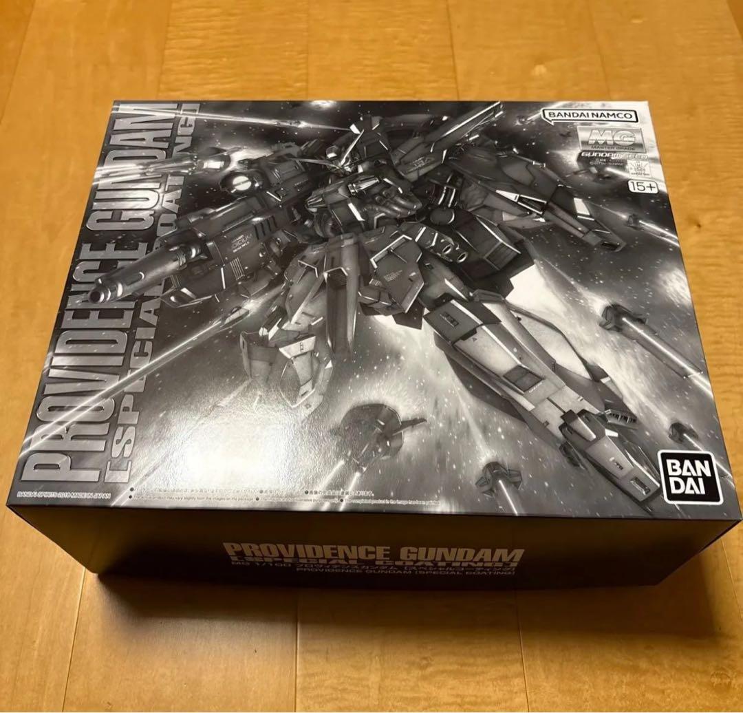 MG プロヴィデンスガンダム　[スペシャルコーティング]