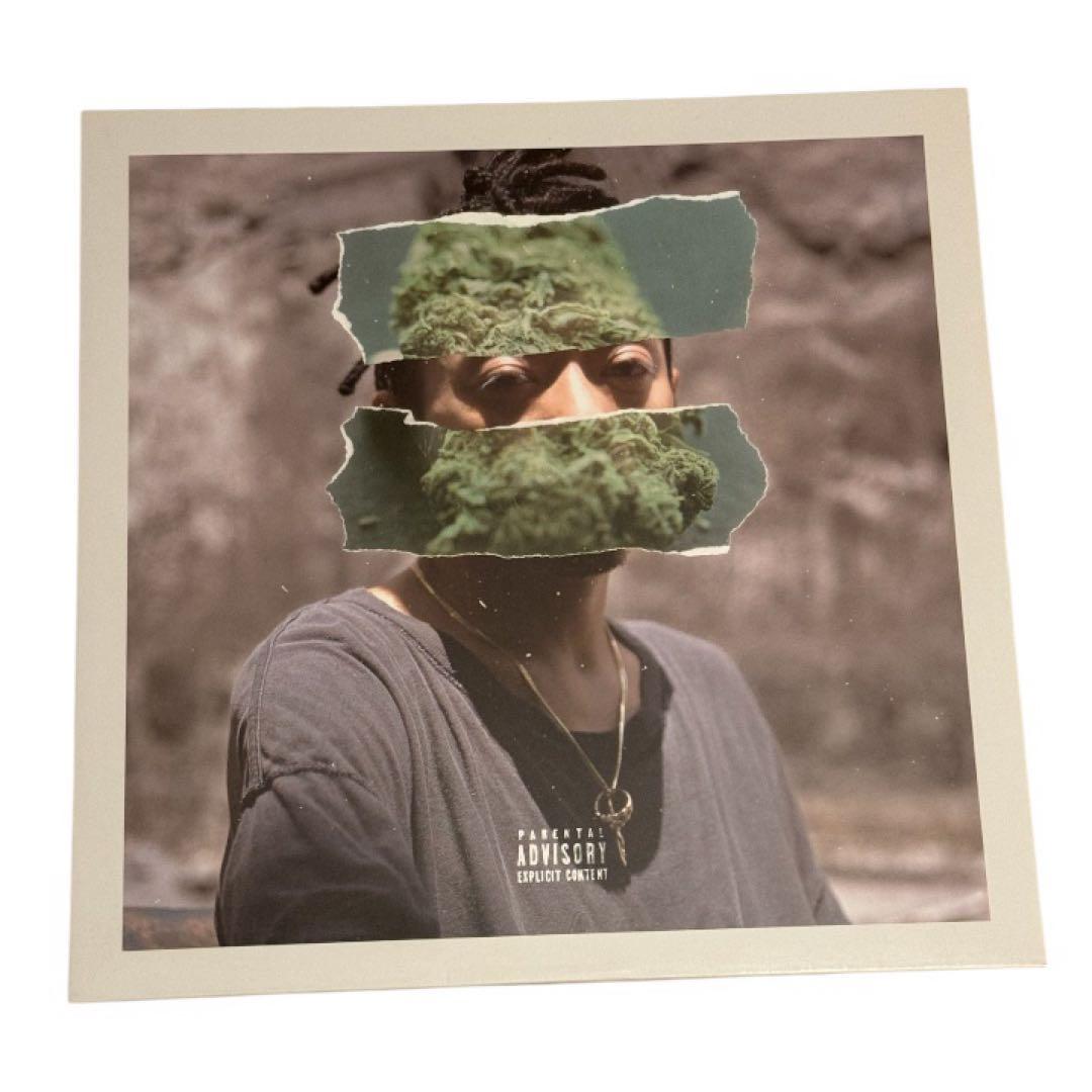 邦楽 Rudebwoy Face JAMDOWN