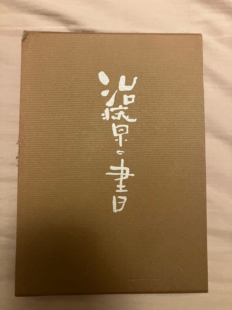 治療の書 野口晴哉著