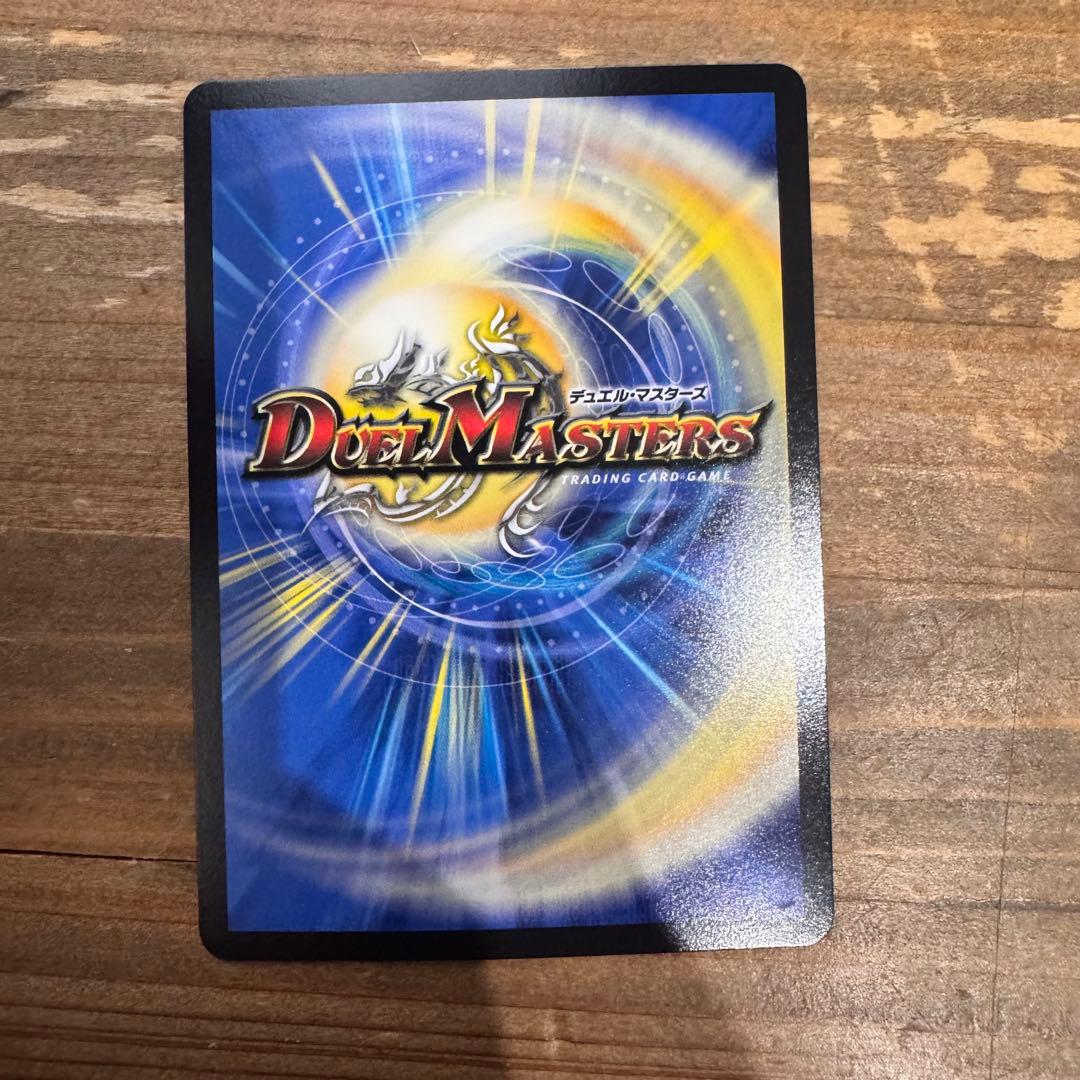 飛翔龍 5000VT れも姉さん専用