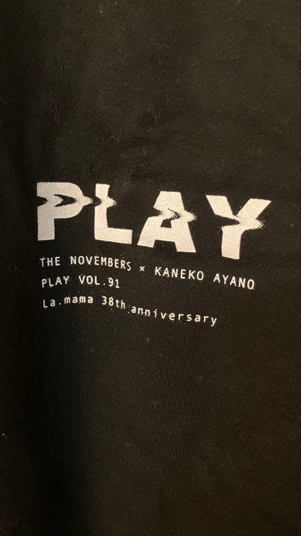 カネコアヤノ THE NOVEMBERS コラボTシャツ 2XL