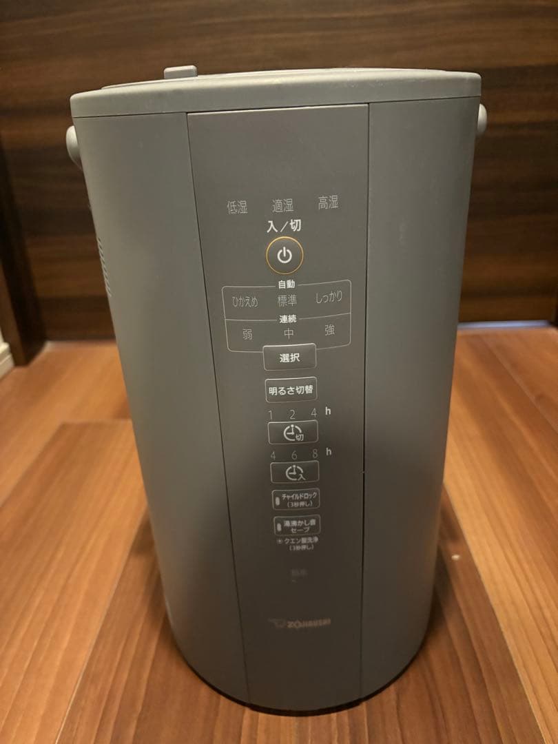 加湿器 象印 ゾウジルシ スチーム式加湿器 EE-DC50 グレー