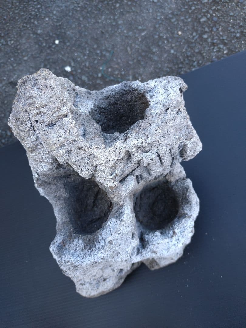 ADA 雲山石 XL 穴3個 水槽 レイアウト石 水槽レイアウト 水槽用石