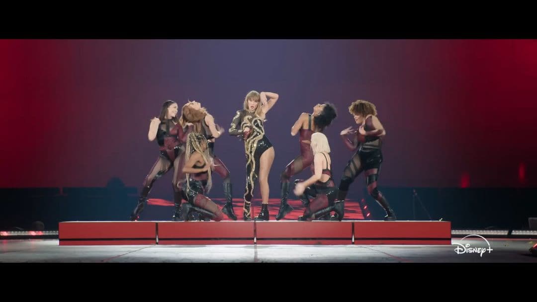 March 14 Disney Taylor′s Version Poster