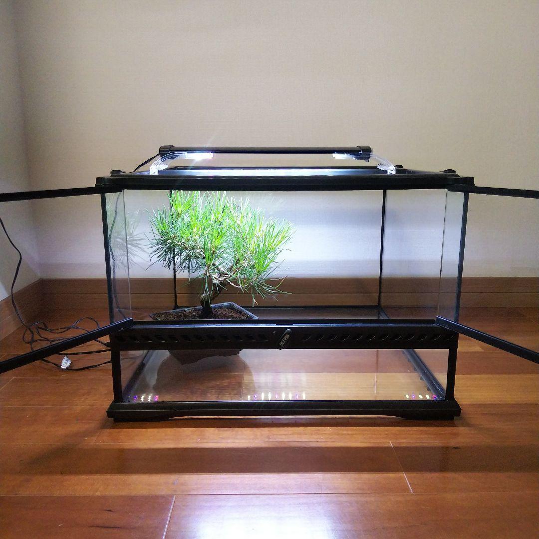 【受注生産】室内日本庭園