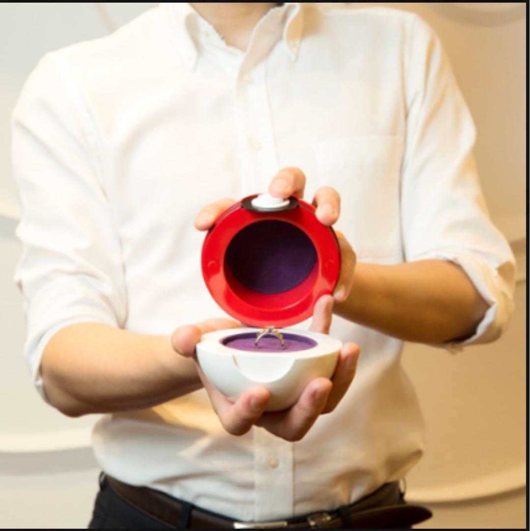 ポケットモンスター　モンスターボールアクセサリーケース