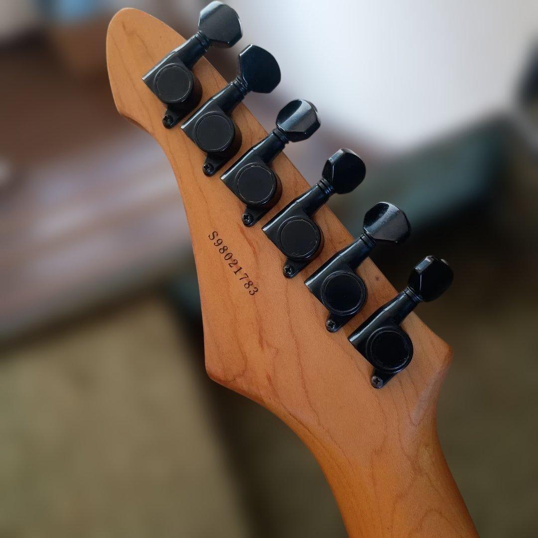 Aria ProⅡ アリアプロ2 MAGNA SERIES SSH