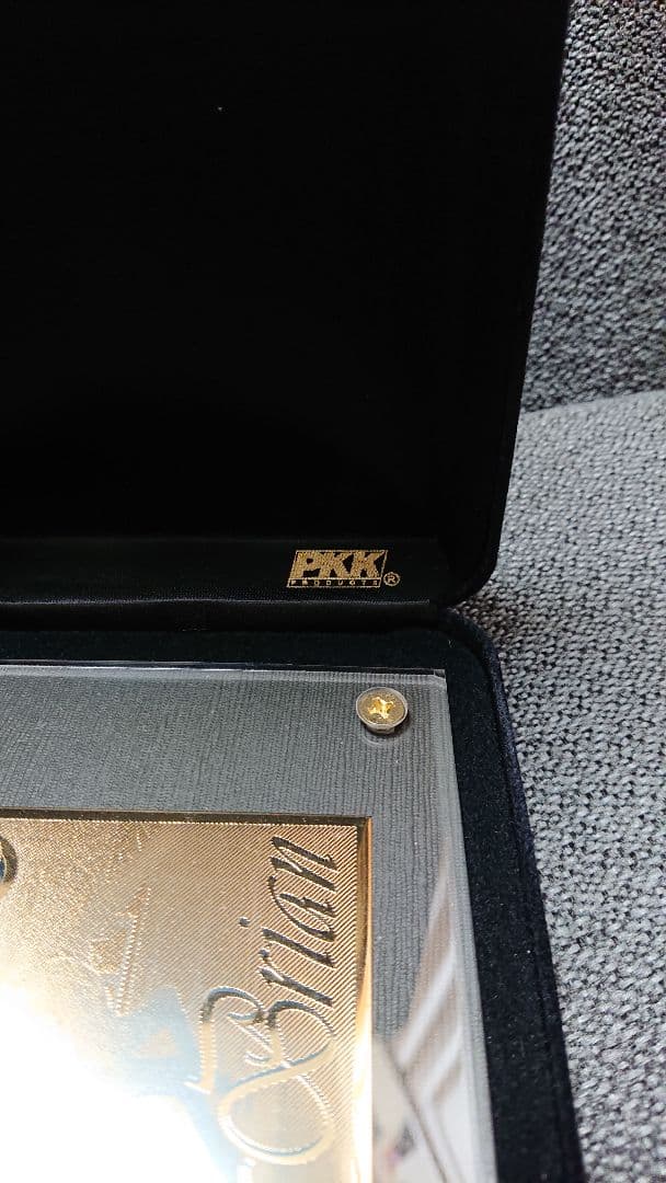 【激レア】ナリタブライアン ゴールドプレート