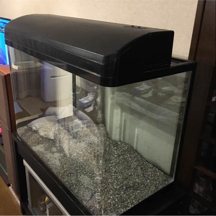 NISSO 90×60×45 曲げガラス 水槽 ୨୧⑅*