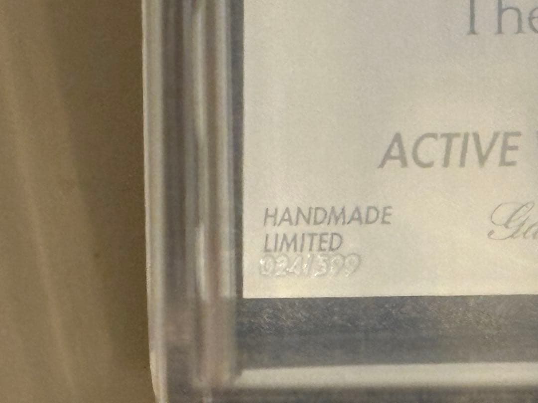 限定399台　技研所　スカイラインGT-R ガレージアクティブ　ワイドボディ