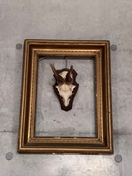 アンティーク スカル ホーン フレーム 英国