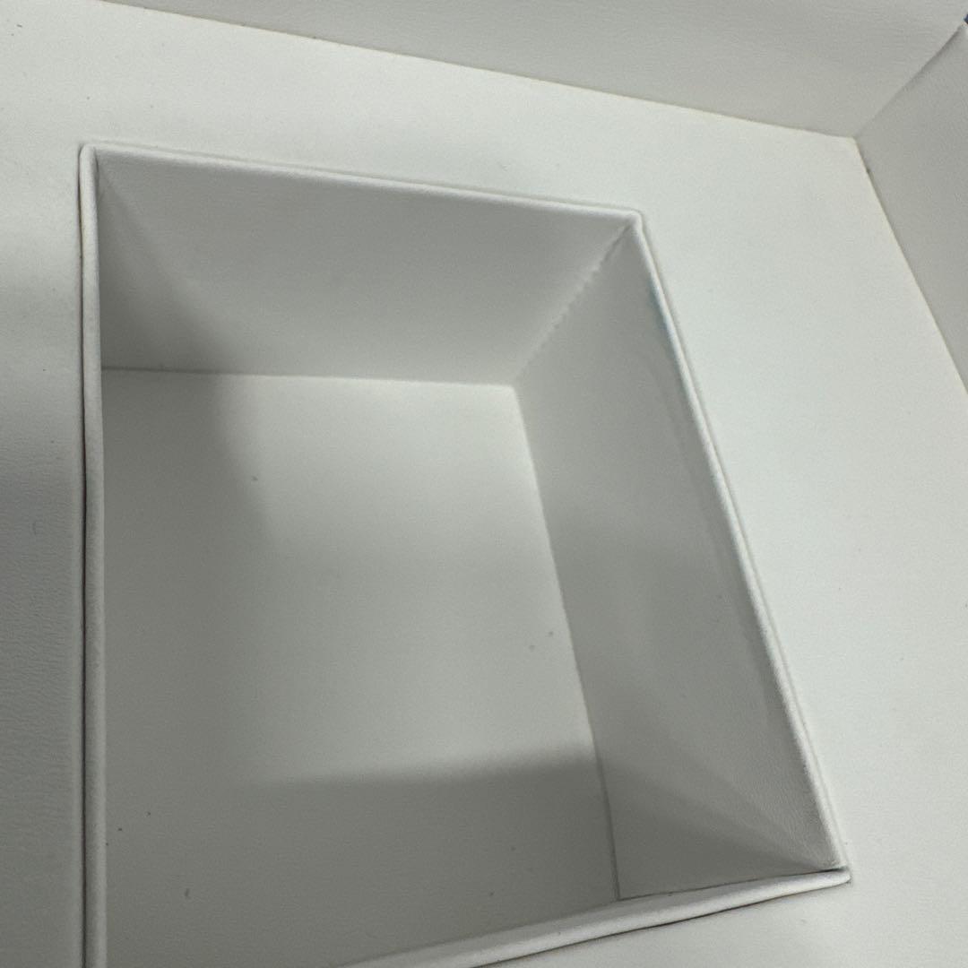 美品 T.Fukami 深見東州 晴天でキラキラしている自由と柴山潟 時計ケース