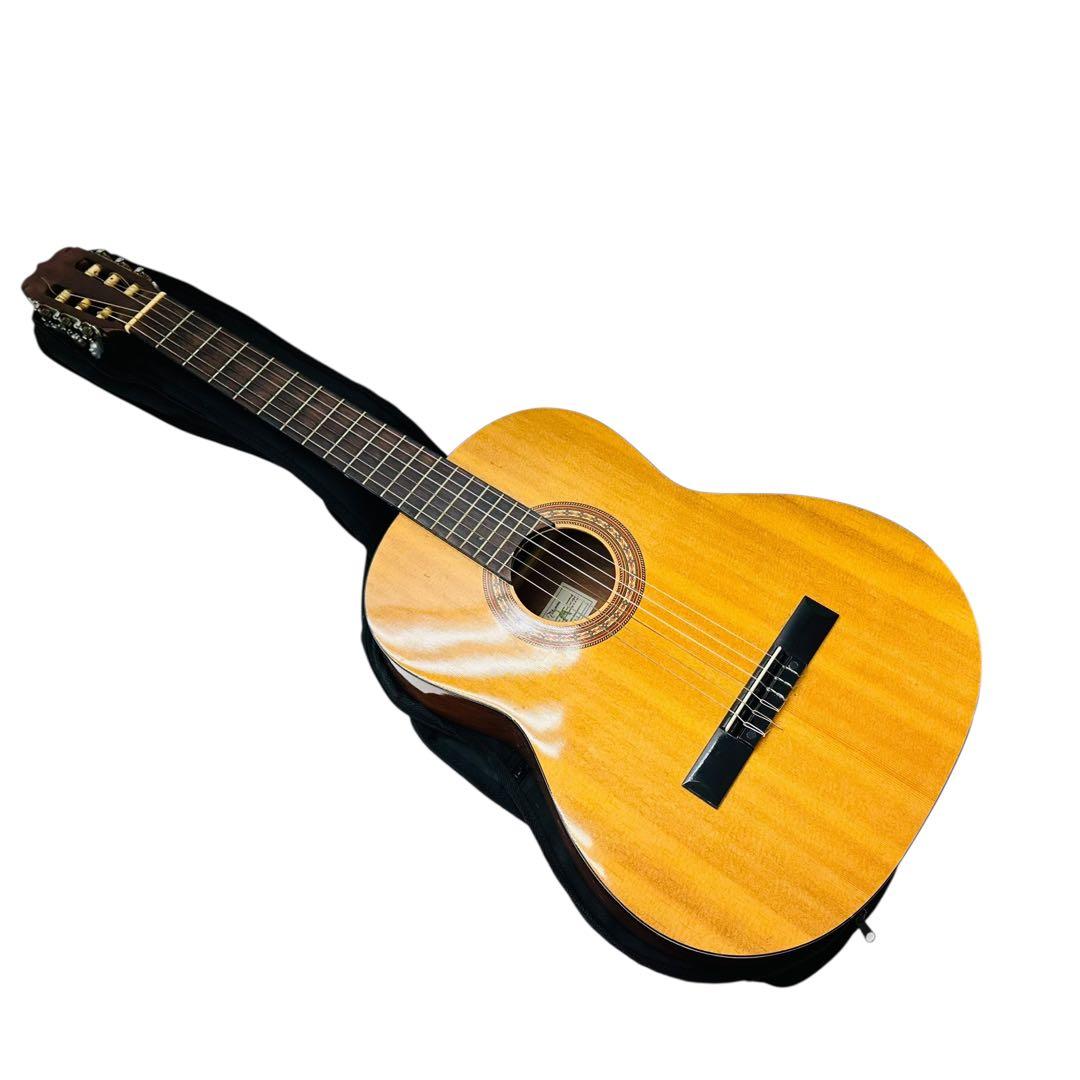 Takamine タカミネ　アコースティックギター　JS441