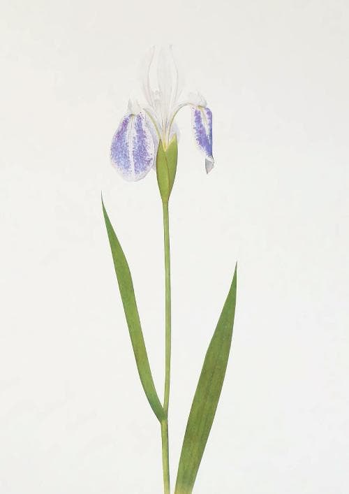 m10★ポスター8枚