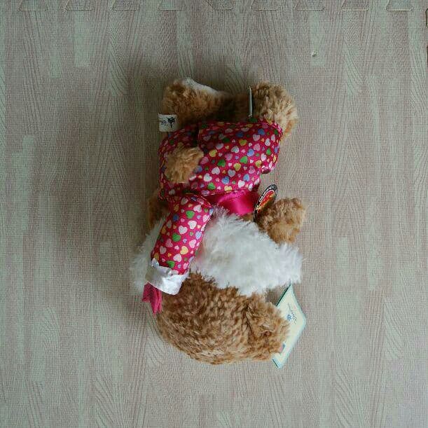 ダッフィー 　バレンタイン　ディズニーリゾート